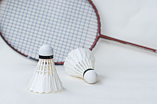 镜头里的体 镜头里的体