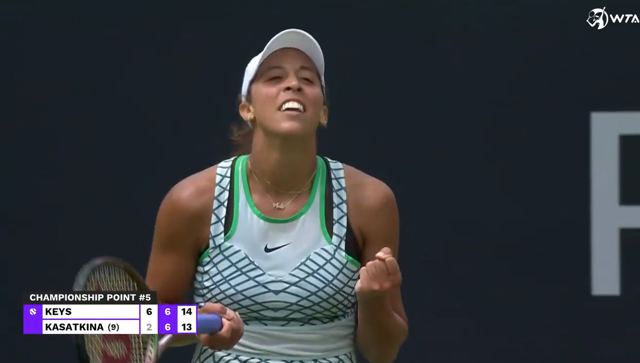 了鸟类观赏 了鸟类观赏