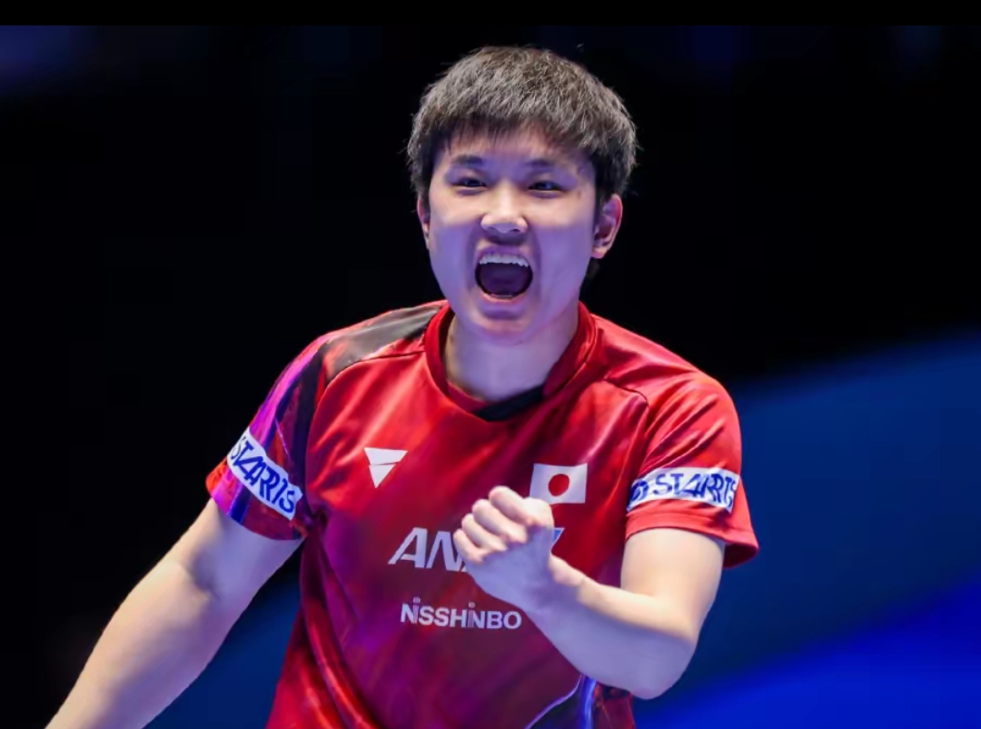 阵容的三分 阵容的三分